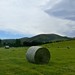 Geraldine Land Photo 11