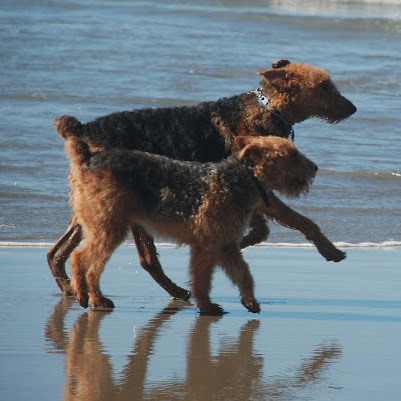 Susan Wheatley Photo 28