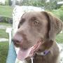 Julie Doyle Photo 9