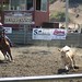 Cindy Turner Photo 30