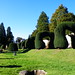 Charles Hedges Photo 15