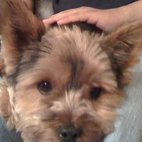 Teddy Ramirez Photo 11