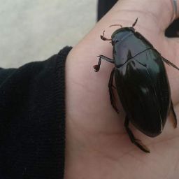 Mohammad Syed Photo 10