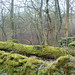 Bradford Moss Photo 14