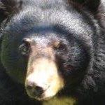 Paul Keenan Photo 34