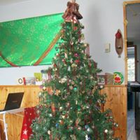 Gail Keating Photo 19