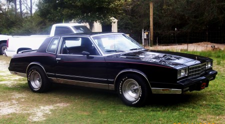 Crystal Crisp Photo 13