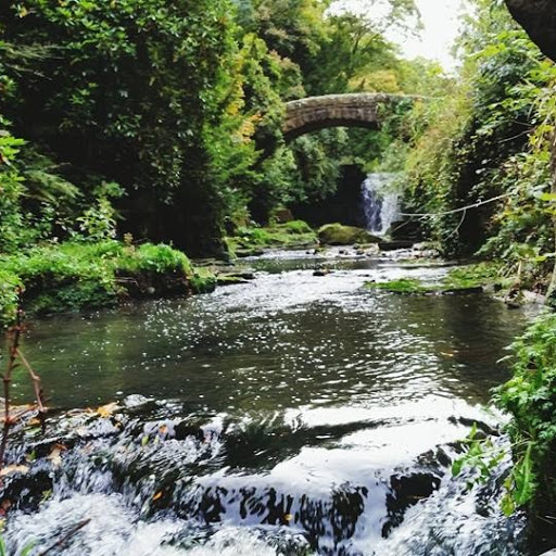 Christopher Davidson Photo 26