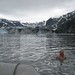 Colleen Hopkins Photo 27