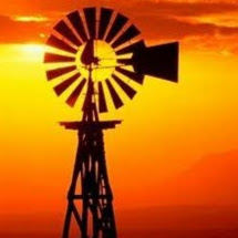 Donna Perry Photo 26