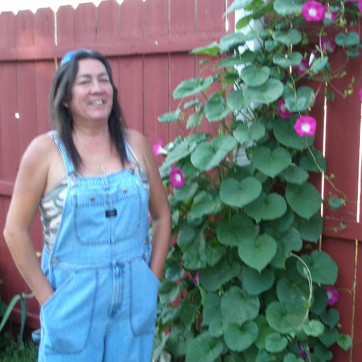 Cindy Howell Photo 4