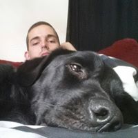 Steven Mullen Photo 39