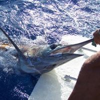 James Gates Photo 35