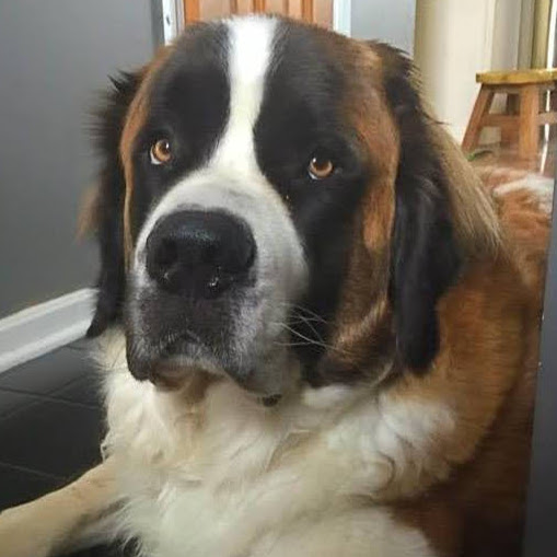 Samantha Bennett Photo 28