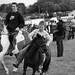 Kerry Fair Photo 15
