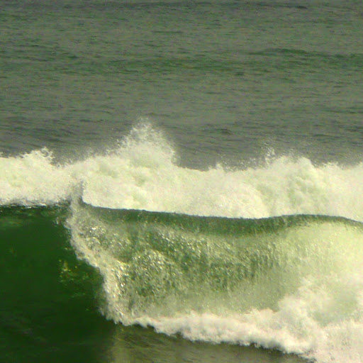 Susan Staley Photo 29