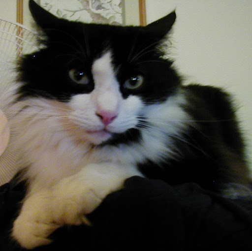 Pamela Shaw Photo 17