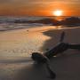 David Simpkins Photo 10