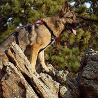 Roger Matthews Photo 25