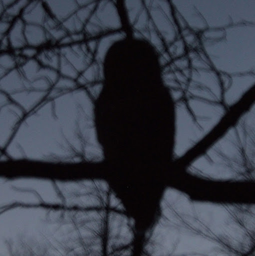 Krista Andrews Photo 20