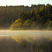 Misty Stevenson Photo 19