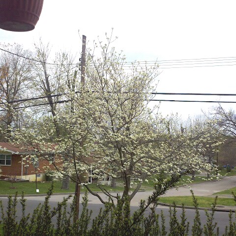 Bob Schroeder Photo 11