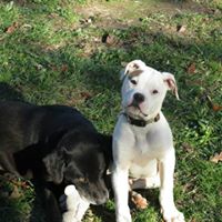 Vicki Bowles Photo 3