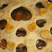 Debra Krueger Photo 7
