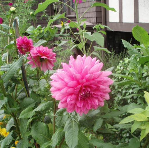 James Prichard Photo 9