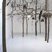 Art Swanson Photo 31