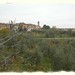 Andrea Greve Photo 21