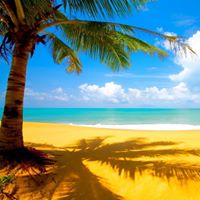 Tiffany Stephens Photo 23