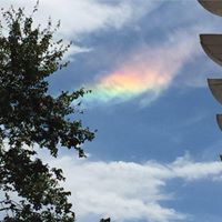 Michael Dodd Photo 34 Michael Dodd Photo 34