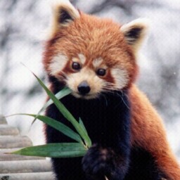 Juan Romero Photo 36