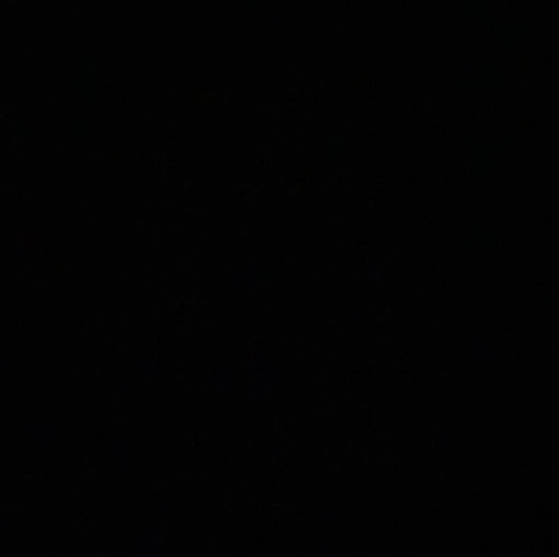 Jackie Phillips Photo 13