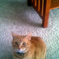 Jerry Sellers Photo 33