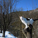 Alice Richards Photo 20