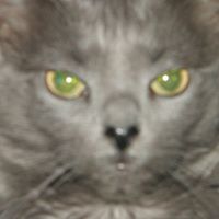 Angie Peters Photo 15