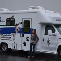 Jocelyn Allen Photo 40