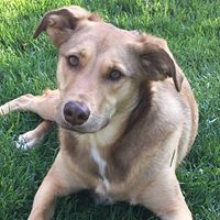 Samuel Gordon Photo 33