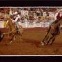 Johnny Beck Photo 22
