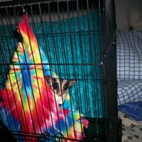 Tommy Hedrick Photo 14