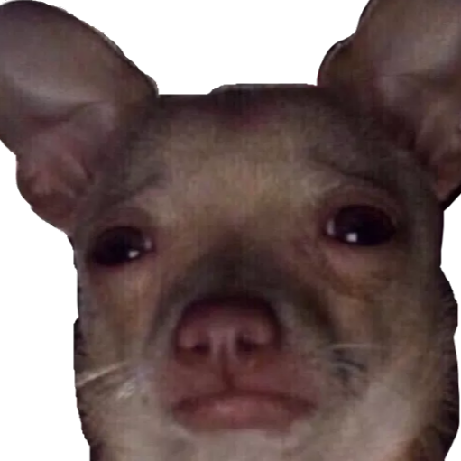 Charlotte Nelson Photo 21