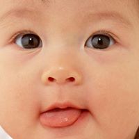 Terence Lee Photo 12