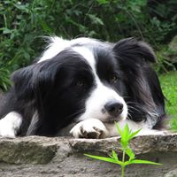 Jeanne Atkinson Photo 29