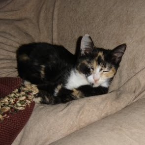 Nancy Martin Photo 21