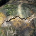 Cindy Stein Photo 21