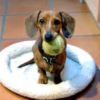 Kristina Thompson Photo 27