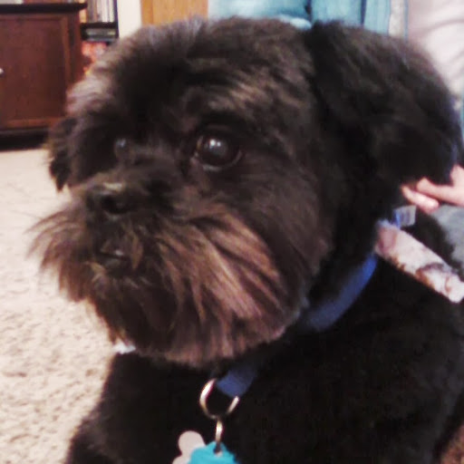 Lisa Mclain Photo 18