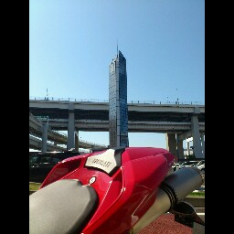 Sharon Apple Photo 13